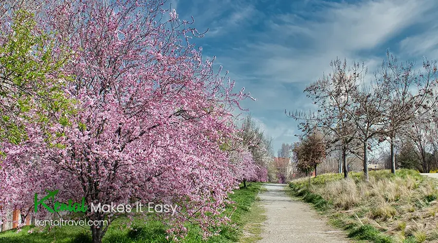 Spring in Iran