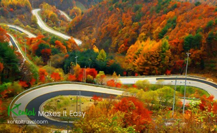 Chalus Road in Iran: The Most Beautiful Road Of The Country