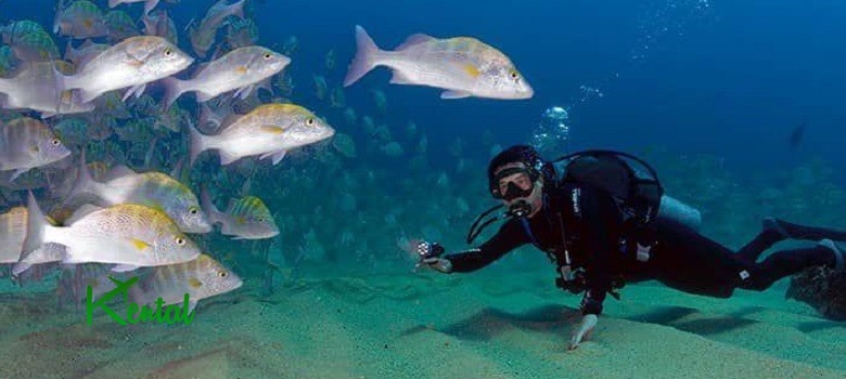 Top 10 Iran diving tours for nature lovers