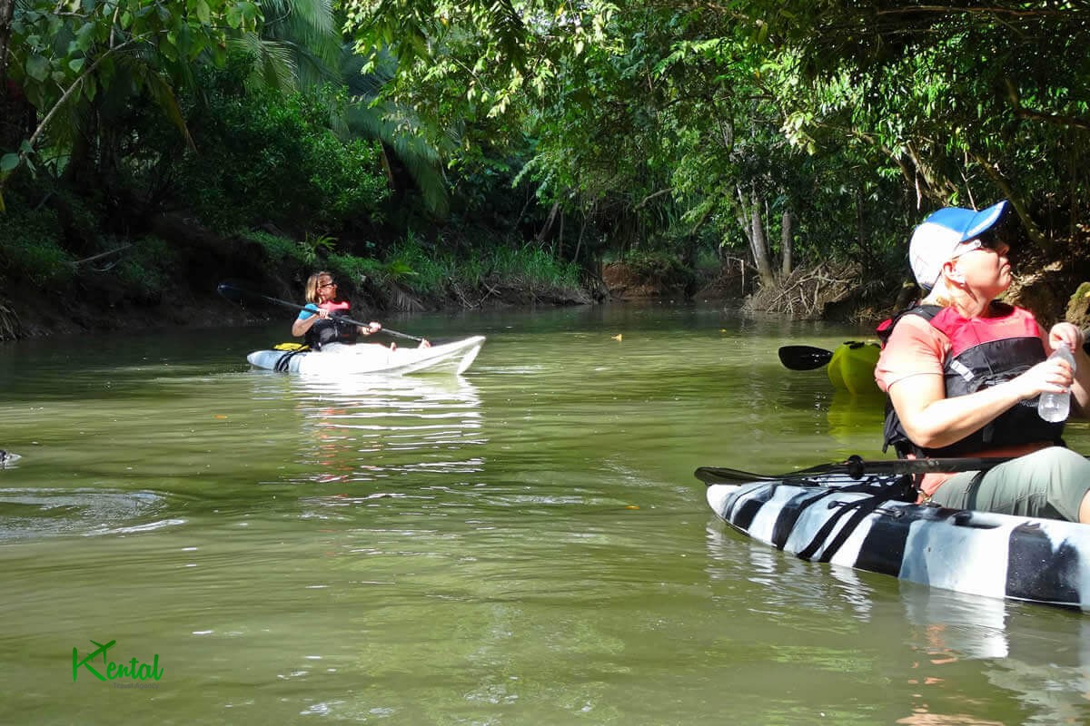Sirik Island Mangrove Tours