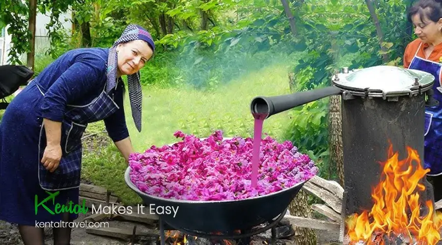 The Kashan Rosewater Festival is an annual event in Kashan