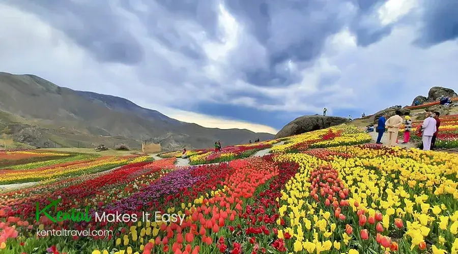 Iran summer temperature